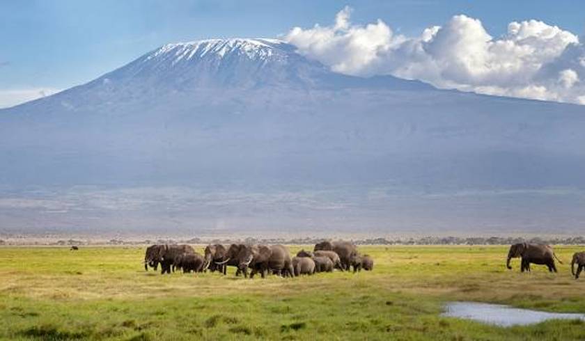 8 Days 7 Nights: Mt. Kilimanjaro Marangu Route