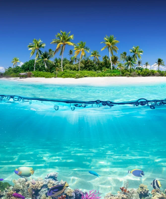 Travel Agency in Al Khobar